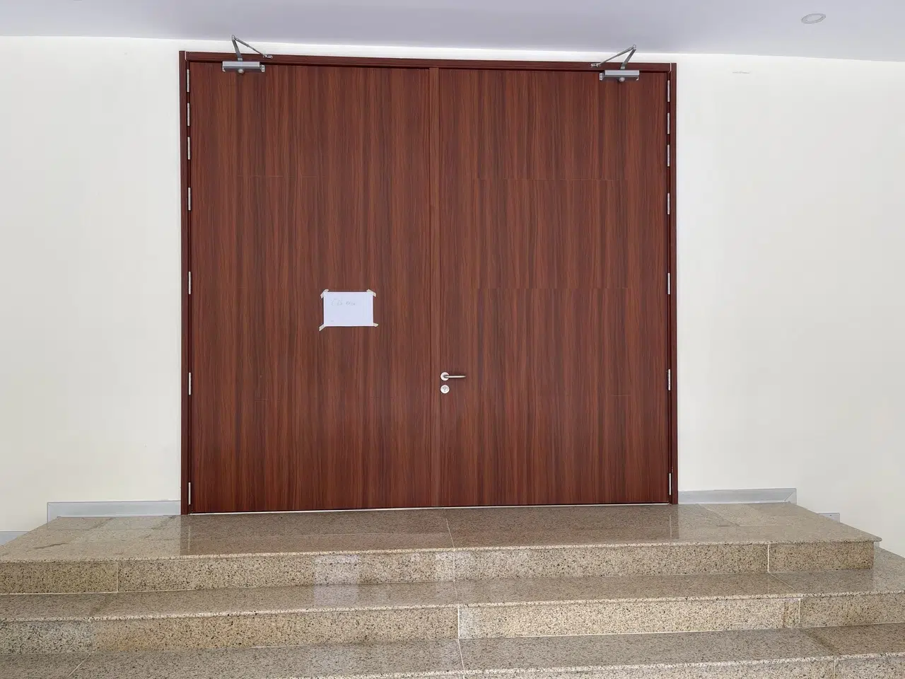 Cửa chống cháy vân gỗ